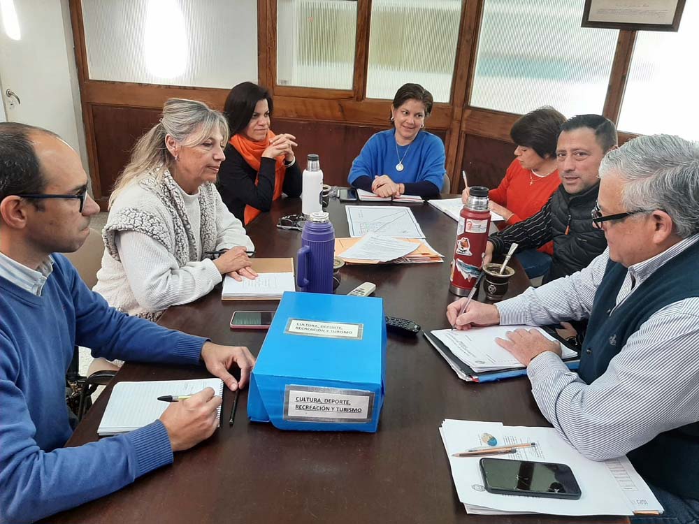 Comisión de Cultura 2025