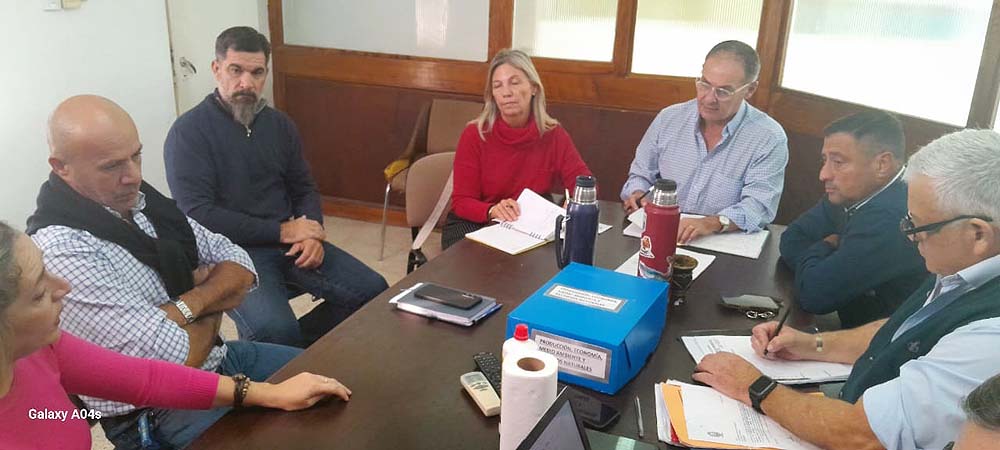 Comisión de Producción 2025