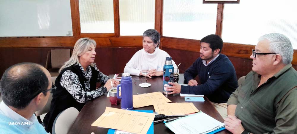 Comisión de Salud 2025