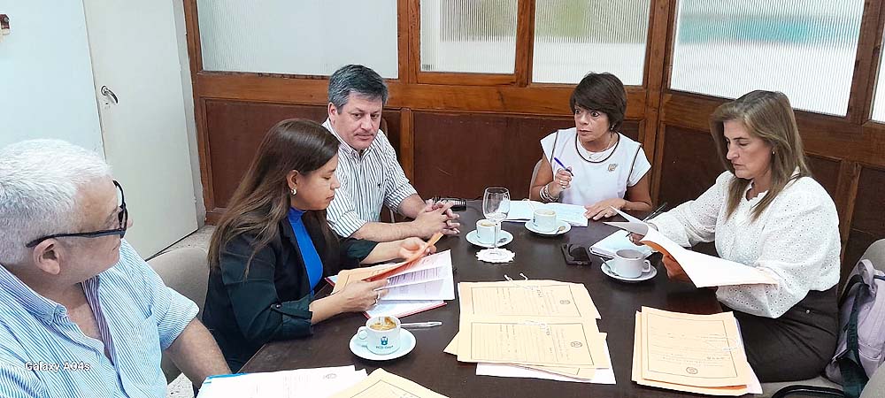 Comisión de Economía 2025