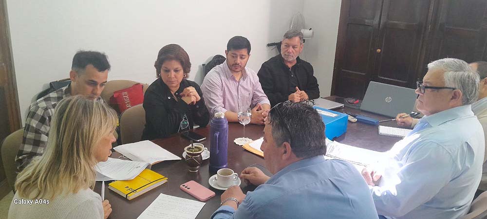Comisión de Salud 2025