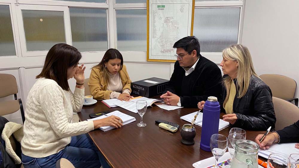 Comisión Economía